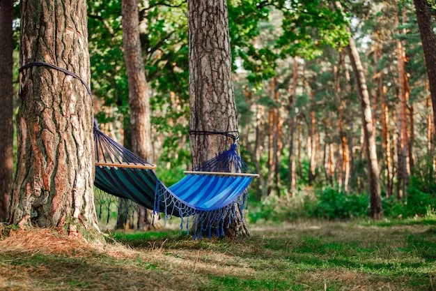 Zonă de relaxare cu hamace