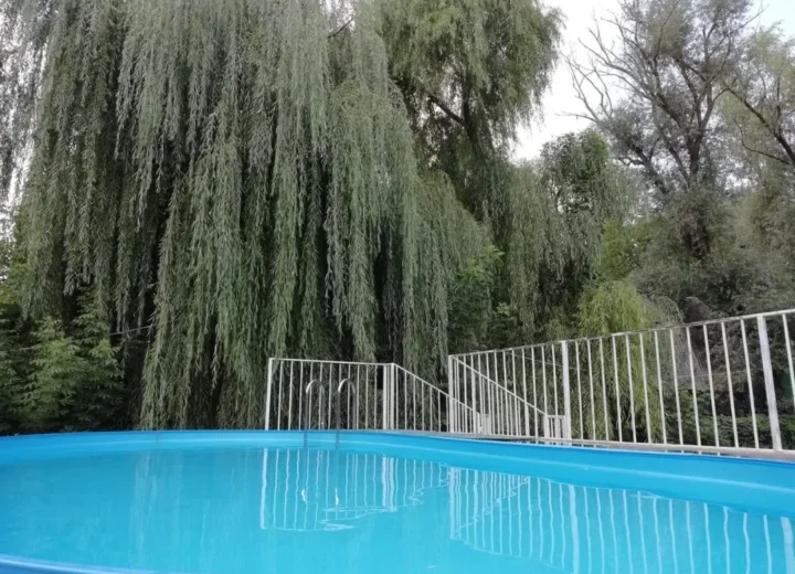 Piscină